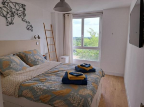 Grand appartement lumineux Rennes